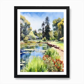 Adelaise Botanical Gardens Australia Watercolour 3 Art Print