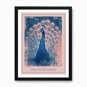 Pink & Blue Peacock Cyanotype Inspired Poster Art Print