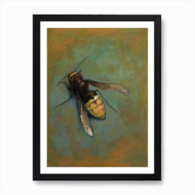 Insect - Hornet Art Print