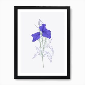 Canterbury Bell Floral Minimal Line Drawing 4 Flower Art Print