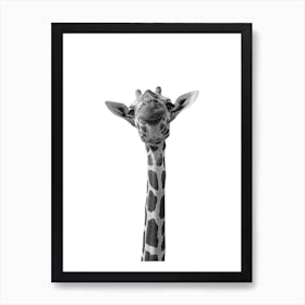 Giraffe Animal Portrait Art Print