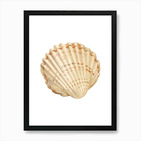 Colored seashells. Seashells. Summer. 10 Art Print