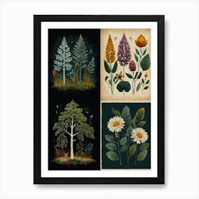 Set Of Four Botanical Prints Art Print