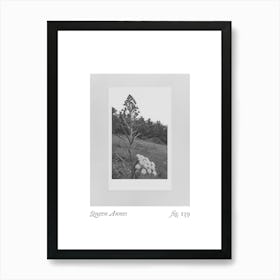 Queen Annes Botanical Collage 1 Art Print