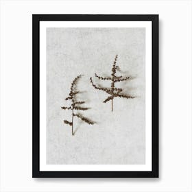 Minimal Wild Botanics Art Print