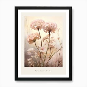 Floral Illustration Queen Annes Lace 4 Poster Art Print