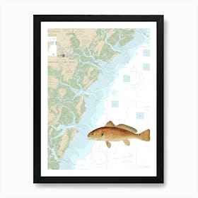 Vintage New York Fish and Game - Denton Redfish On Tybee Island To Doboy Sound Chart 11509 Art Print