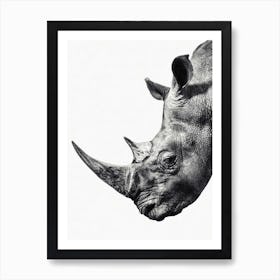 Rhino Art Print