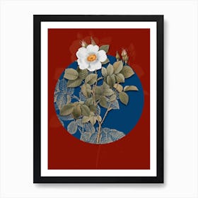 Vintage Botanical Twin Flowered White Rose on Circle Blue on Red n.0019 Art Print