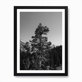 Olmsted Point Yosemite National Park VI Art Print