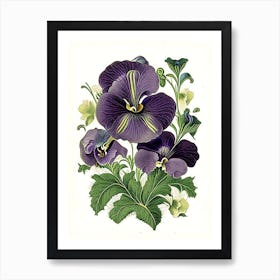 Pansy Floral 3 Botanical Vintage Poster Flower Art Print