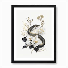 Dione Rat Snake Gold And Black Art Print