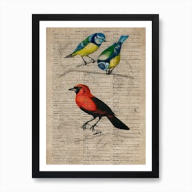 Great Tit And Scarlet Tanagerhumming Bird Dictionnaire Universel Dhistoire Naturelle  Art Print