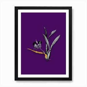Vintage Clamshell Orchid Black and White Gold Leaf Floral Art on Deep Violet n.0612 Art Print