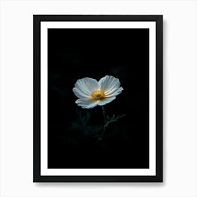 White Flower In The Dark 2 Art Print