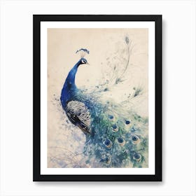 Peacock Watercolour Floating Feathers 3 Art Print