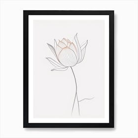 American Lotus Minimal Line Drawing 2 Art Print