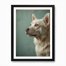 Default Wall Images Of Pets With Faint Colors 0 Art Print