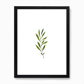 Green Watercolour Plant Art Print