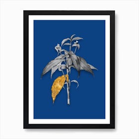 Vintage Commelina Zanonia Black and White Gold Leaf Floral Art on Midnight Blue n.0274 Art Print