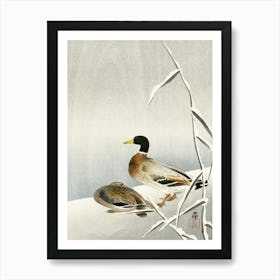 Two Ducks On Snowy Reed (1900 1930), Ohara Koson Art Print