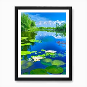 Pond With Lily Pads Water Waterscape Photography 2 Art Print