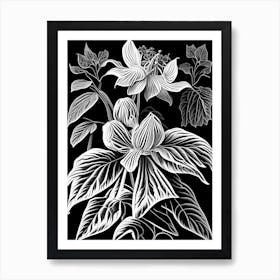Mayapple Wildflower Linocut Art Print