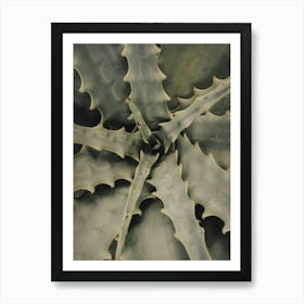 Green Plant_2251390 Art Print