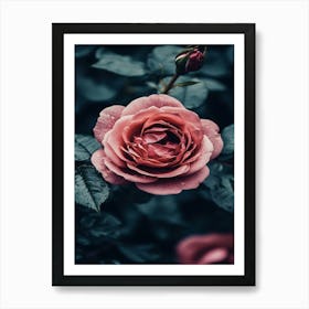 Rose In Black And White 2 Art Print