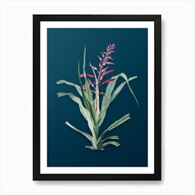 Vintage Pitcairnia Bromeliaefolia Botanical Art on Teal Blue n.0556 Art Print