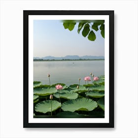 Pink Lotus Art Print