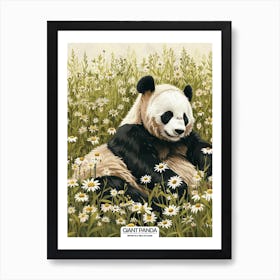 Giant Panda Resting In A Field Of Daisies Poster 133 Art Print