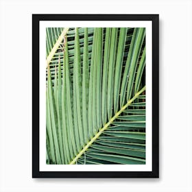 Green Tropics In Art Print