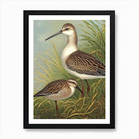 Dunlin Haeckel Style Vintage Illustration Bird Art Print