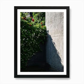 Cactus In The Garden Art Print