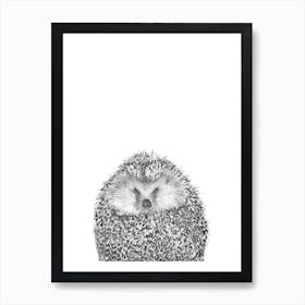 Black and White Hedgehog Illustration Art Print