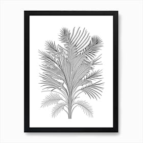 Saw Palmetto Herb William Morris Inspired Line Drawing 3 Art Print