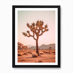 Photograph Of A Joshua Tree At Dusk In A Sandy Desert 3 Art Print