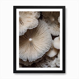 Mushroom Photography 2 Art Print