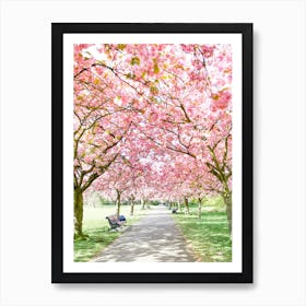 Park Blossom Art Print