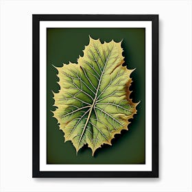 Sycamore Leaf Vintage Botanical 3 Art Print