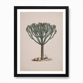 Ethiopian Tree Spurge, Luigi Balugani 1 Art Print