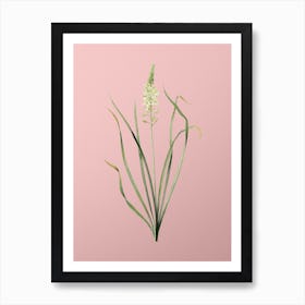Vintage Wild Asparagus Botanical on Soft Pink n.0313 Art Print