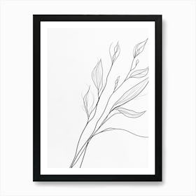 Drawing Of A Plant Art Print