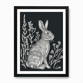 Argente Rabbit Minimalist Illustration 3 Art Print