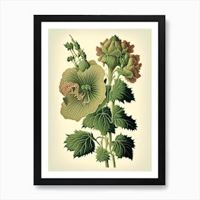 Hollyhock Wildflower Vintage Botanical 1 Art Print