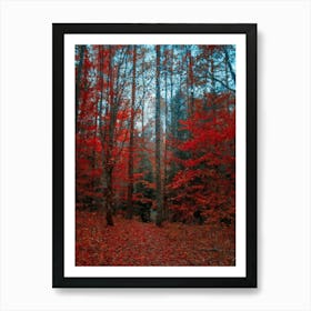 Autumn Red Forest, Oil Painting Art Print