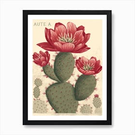 Cactus With Pink Flower Vintage Illustration 2 Art Print