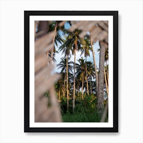 Palm trees through a wicker fence Art Print