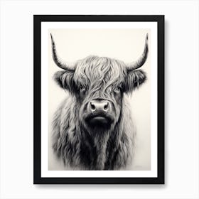 Details Black & White Illustration Of Highland Cow Art Print